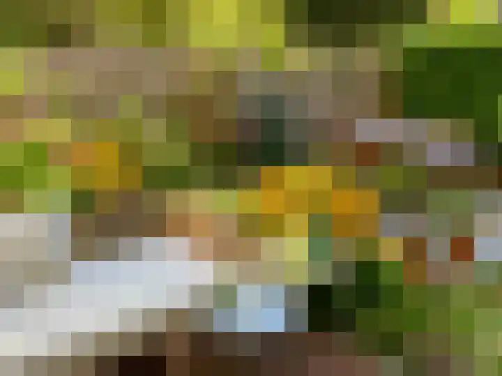 Generaal Spoorlaan 111 Rijswijk thumbnail 29