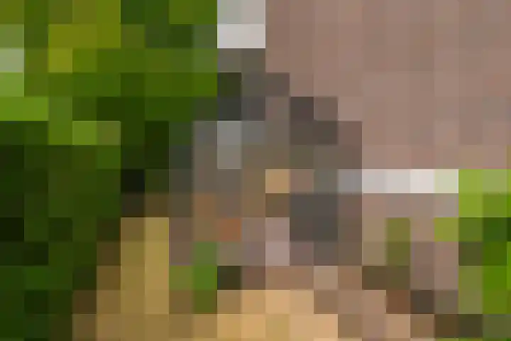 Generaal Spoorlaan 111 Rijswijk thumbnail 31