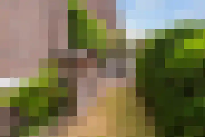Generaal Spoorlaan 111 Rijswijk thumbnail 32