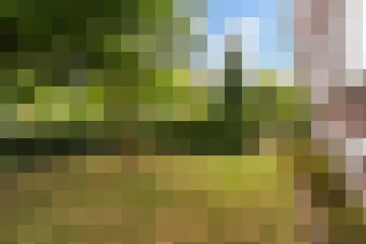 Generaal Spoorlaan 111 Rijswijk thumbnail 33