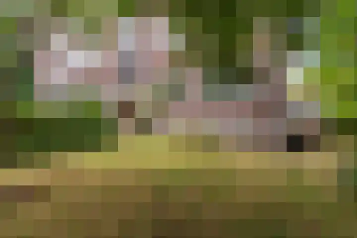 Generaal Spoorlaan 111 Rijswijk thumbnail 35