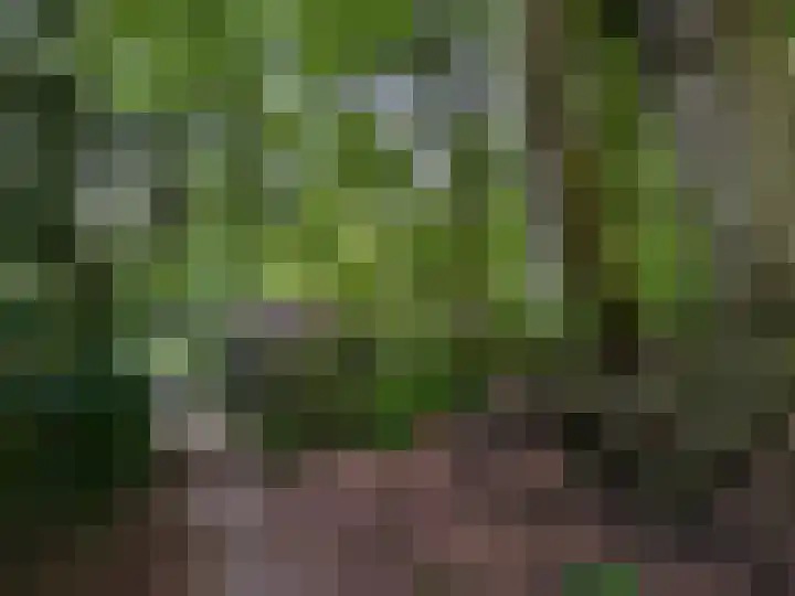 Generaal Spoorlaan 111 Rijswijk thumbnail 41