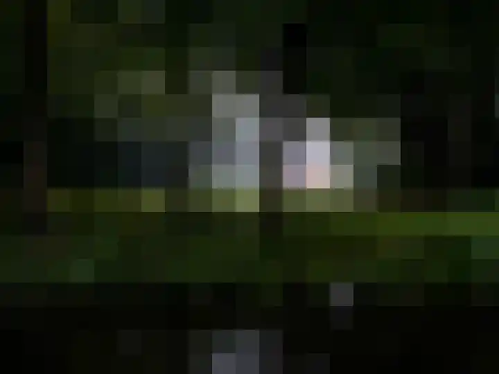 Generaal Spoorlaan 111 Rijswijk thumbnail 43