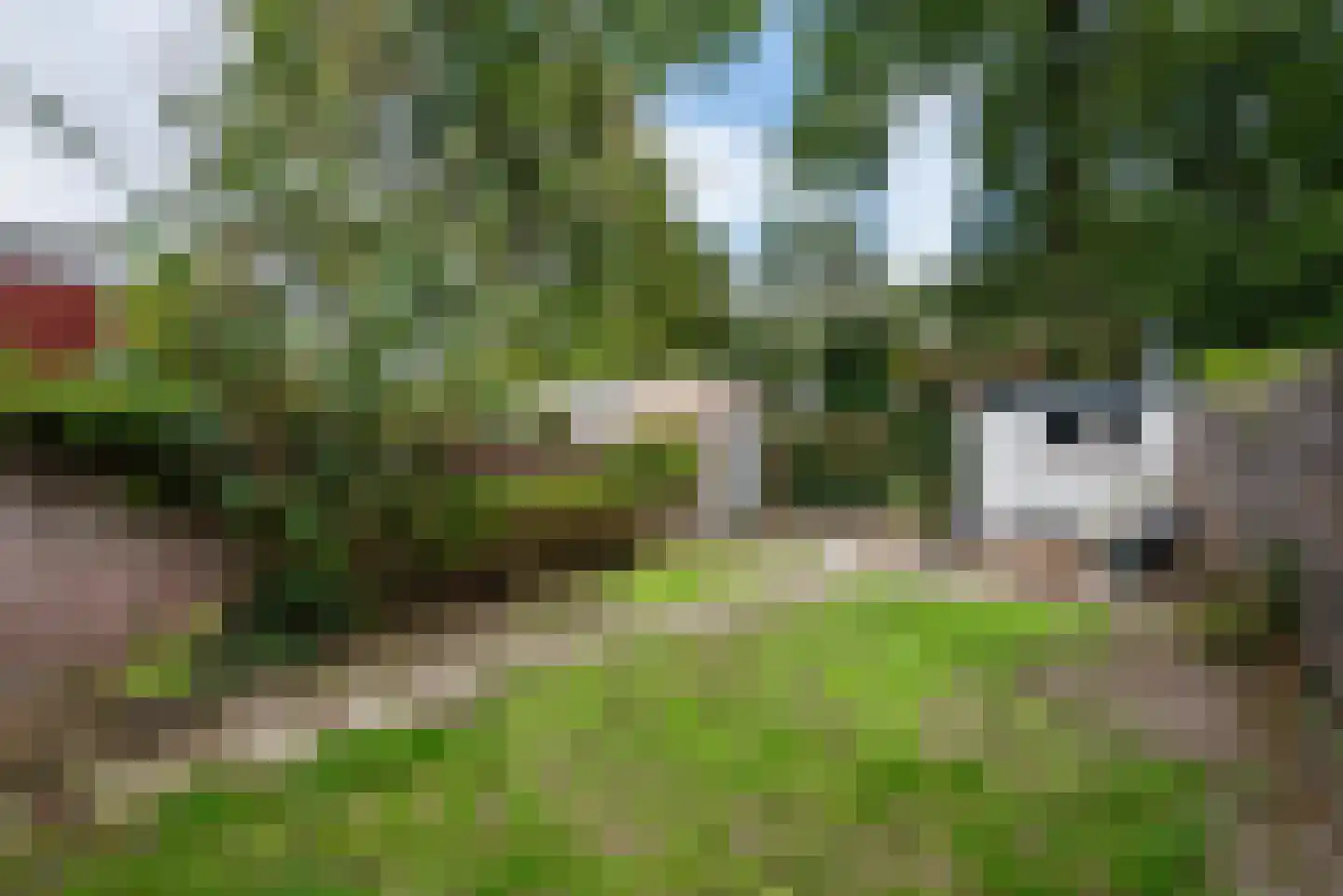 Generaal Spoorlaan 14 Aerdenhout thumbnail 18