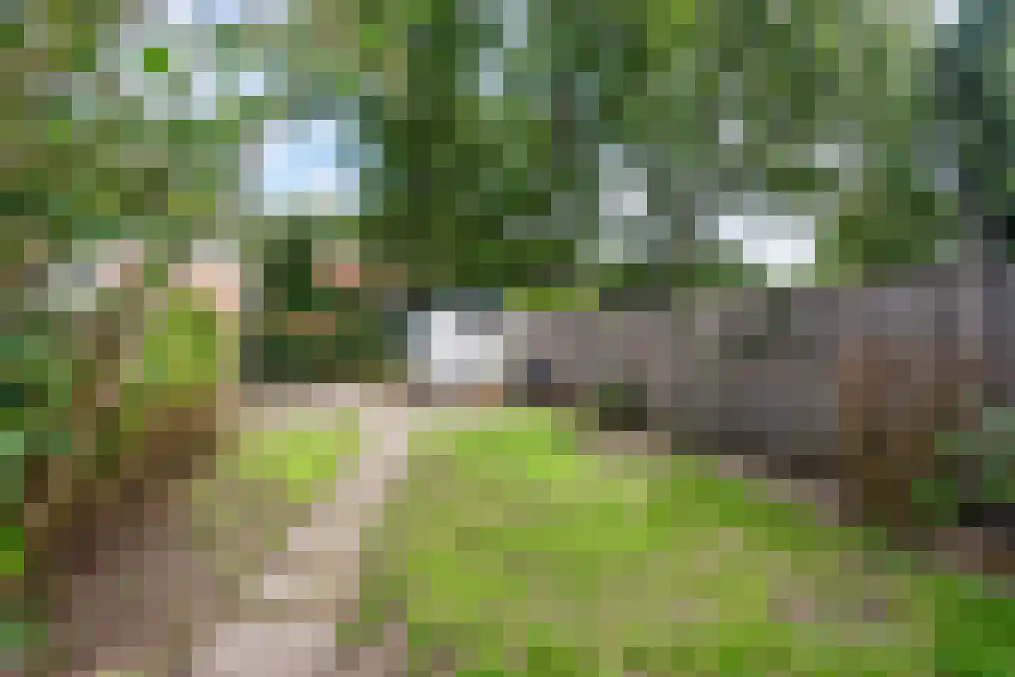 Generaal Spoorlaan 14 Aerdenhout thumbnail 6