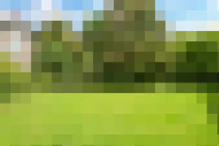Generaal Spoorlaan 163 Rijswijk thumbnail 30