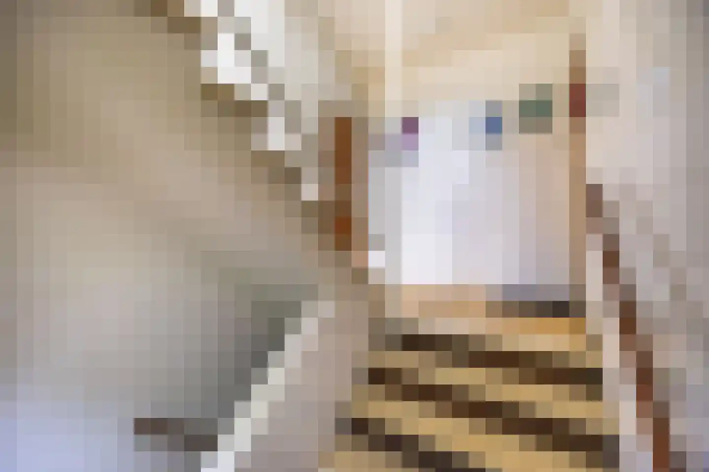 Generaal Spoorlaan 193 Rijswijk thumbnail 22