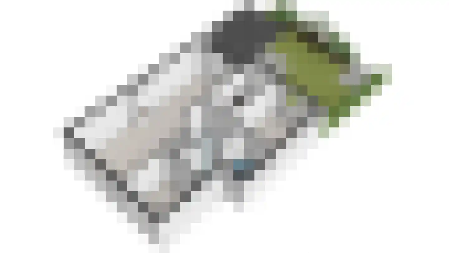 Generaal Spoorlaan 193 Rijswijk thumbnail 32