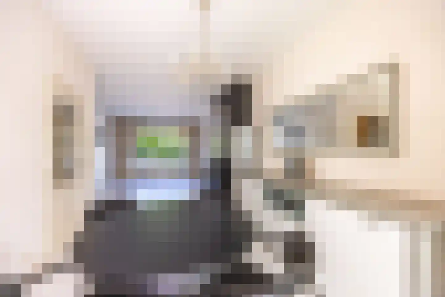 Generaal Spoorlaan 193 Rijswijk thumbnail 7