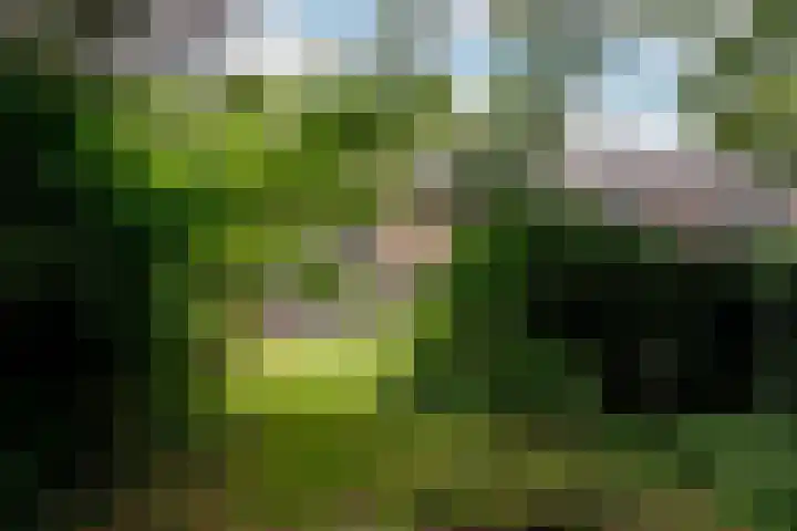 Generaal Spoorlaan 25 Aerdenhout thumbnail 21