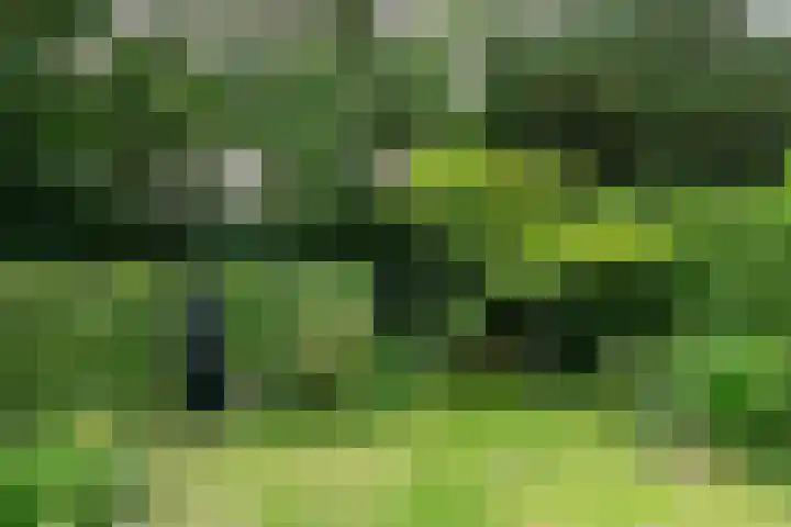 Generaal Spoorlaan 25 Aerdenhout thumbnail 22