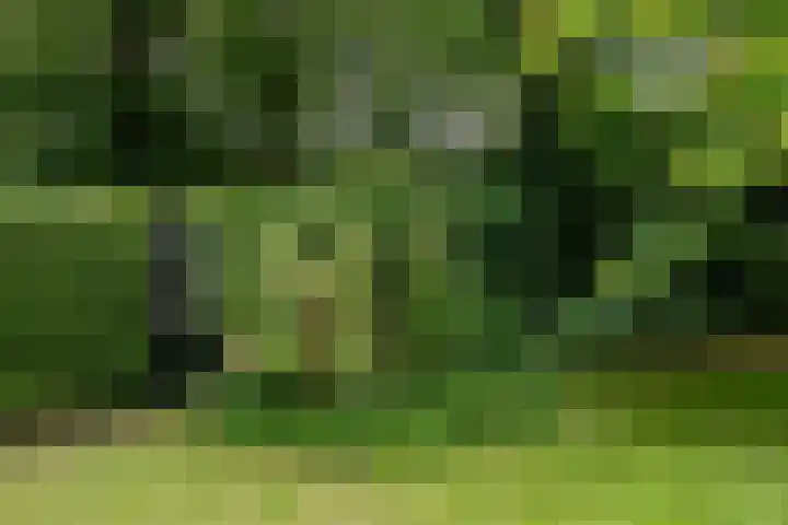 Generaal Spoorlaan 25 Aerdenhout thumbnail 23