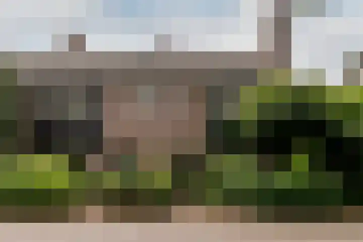 Generaal Spoorlaan 25 Aerdenhout thumbnail 30