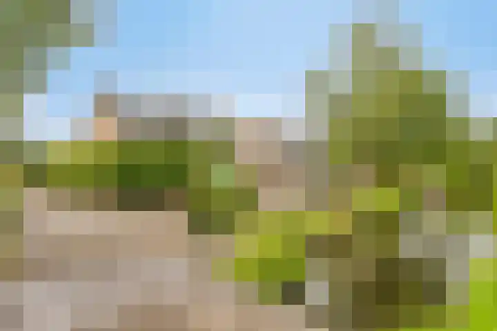 Generaal Spoorlaan 26 Voorschoten thumbnail 13