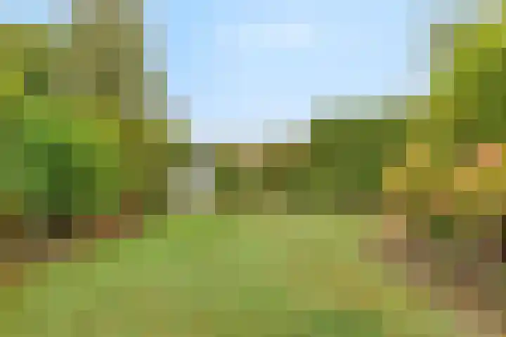Generaal Spoorlaan 26 Voorschoten thumbnail 22