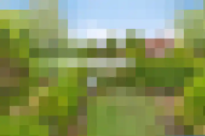 Generaal Spoorlaan 26 Voorschoten thumbnail 31