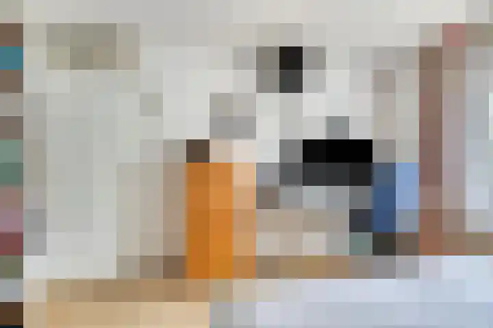 Generaal Spoorlaan 26 Voorschoten thumbnail 35