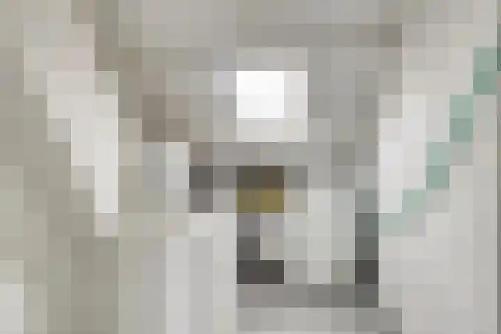 Generaal Spoorlaan 26 Voorschoten thumbnail 43
