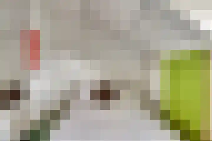 Generaal Spoorlaan 26 Voorschoten thumbnail 48