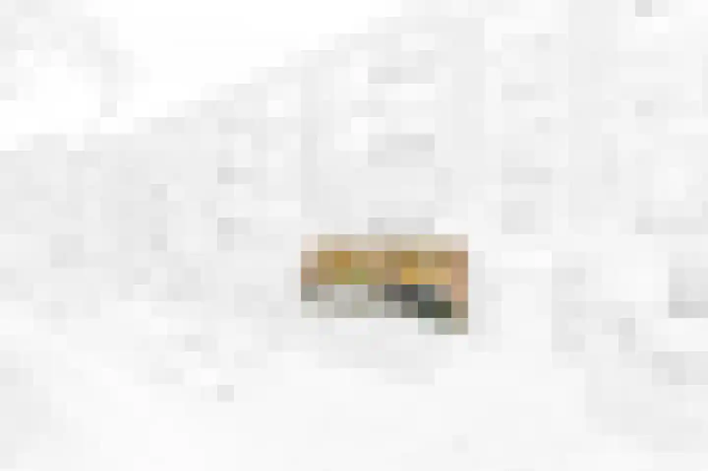 Generaal Spoorlaan 343 Rijswijk thumbnail 31