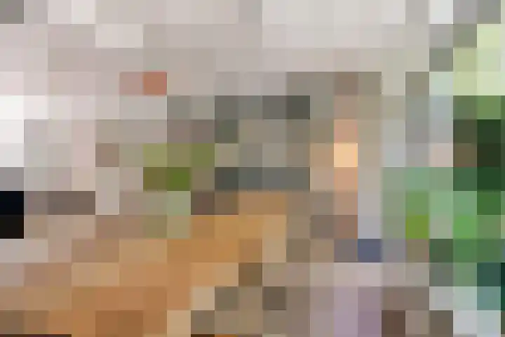 Generaal Spoorlaan 35 Ede thumbnail 10