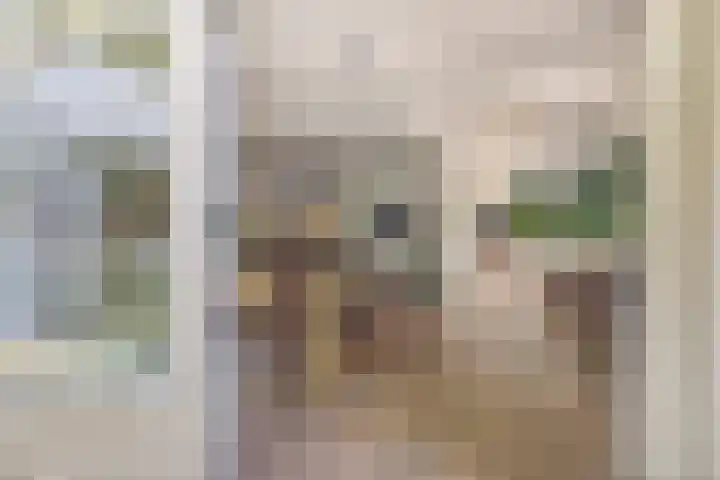 Generaal Spoorlaan 35 Ede thumbnail 18