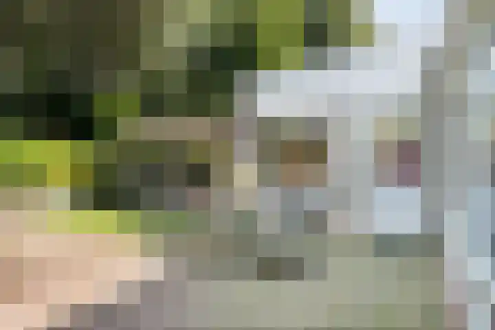 Generaal Spoorlaan 35 Ede thumbnail 34