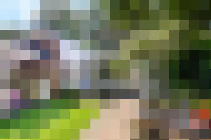 Generaal Spoorlaan 35 Ede thumbnail 41