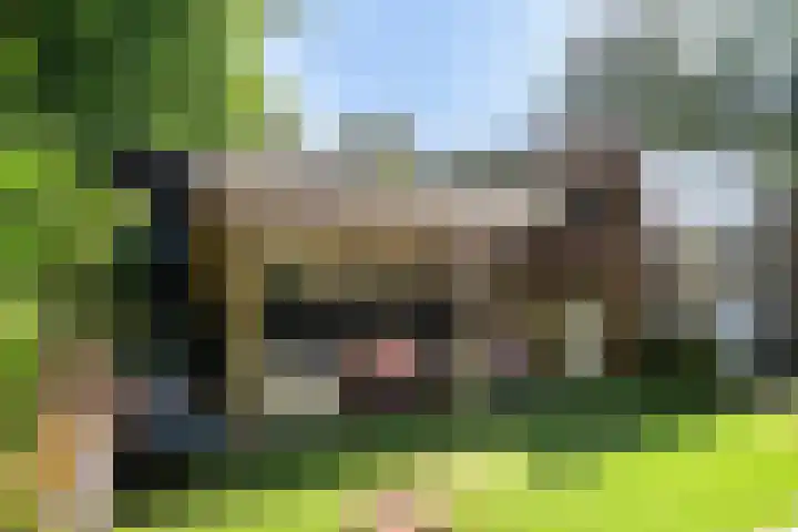 Generaal Spoorlaan 35 Ede thumbnail 44