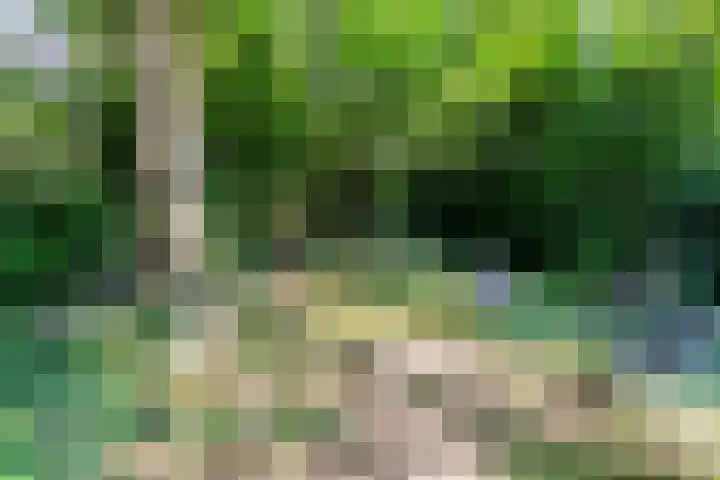 Generaal Spoorlaan 35 Ede thumbnail 46