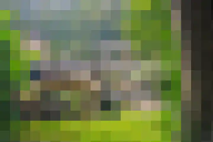 Generaal Spoorlaan 35 Ede thumbnail 48
