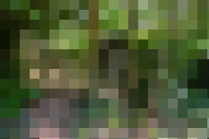 Generaal Spoorlaan 35 Ede thumbnail 49