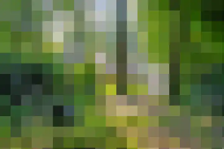 Generaal Spoorlaan 35 Ede thumbnail 50