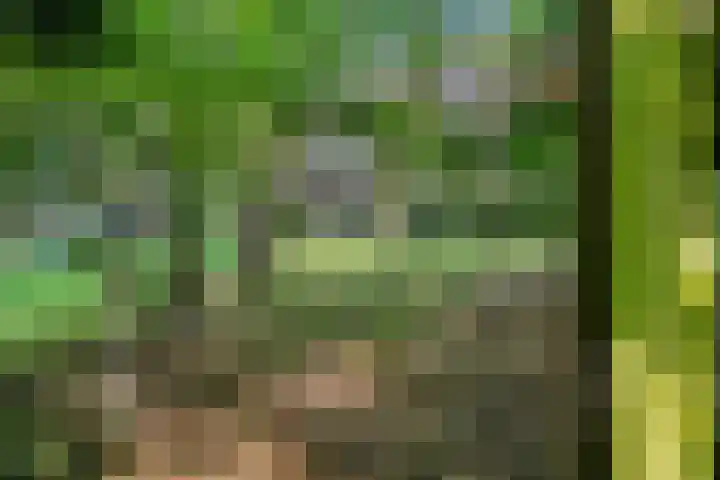 Generaal Spoorlaan 35 Ede thumbnail 51