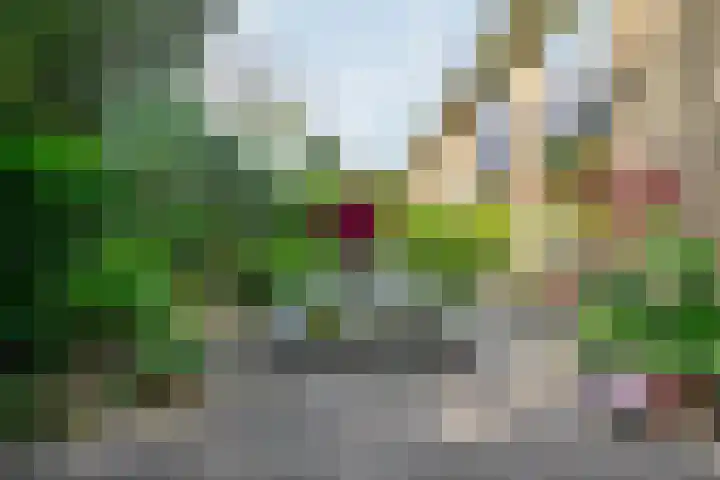 Generaal Spoorlaan 35 Ede thumbnail 52