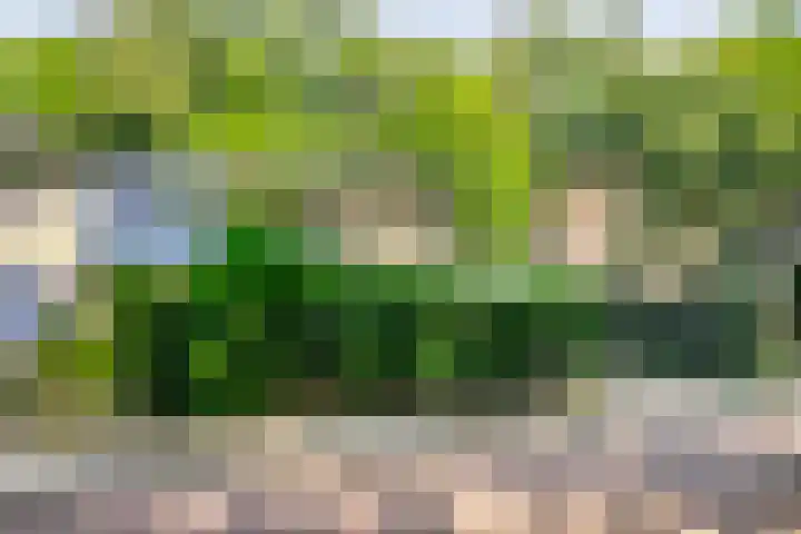 Generaal Spoorlaan 35 Ede thumbnail 56