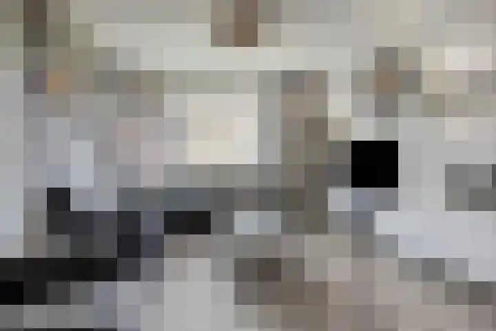 Generaal Spoorlaan 353 Rijswijk thumbnail 11