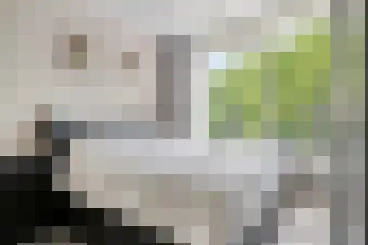 Generaal Spoorlaan 353 Rijswijk thumbnail 19
