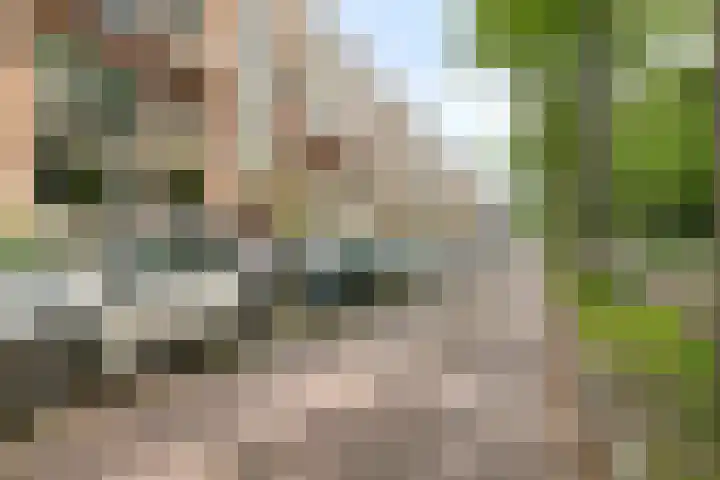 Generaal Spoorlaan 353 Rijswijk thumbnail 5
