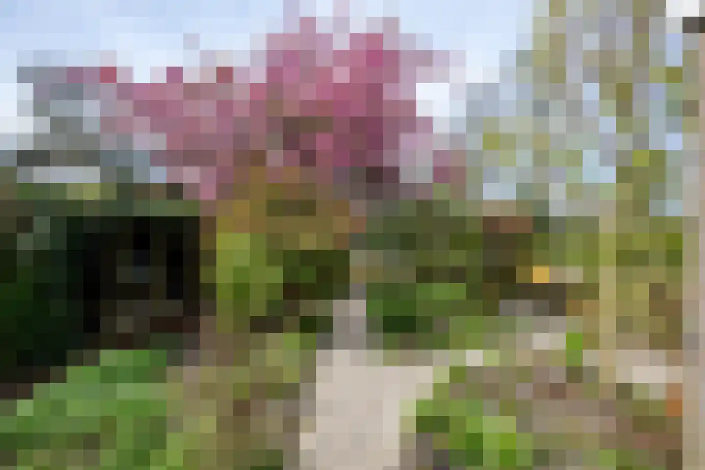 Generaal Spoorlaan 38 Voorschoten thumbnail 21
