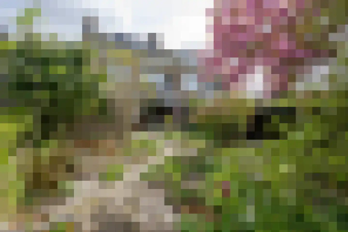 Generaal Spoorlaan 38 Voorschoten thumbnail 24