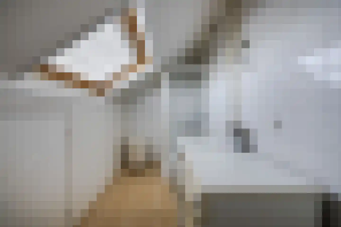 Generaal Spoorlaan 38 Voorschoten thumbnail 39