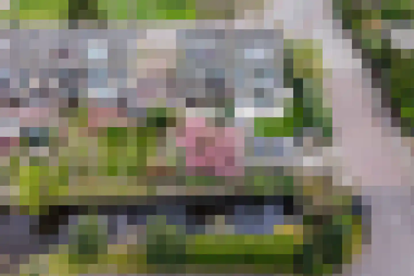 Generaal Spoorlaan 38 Voorschoten thumbnail 41
