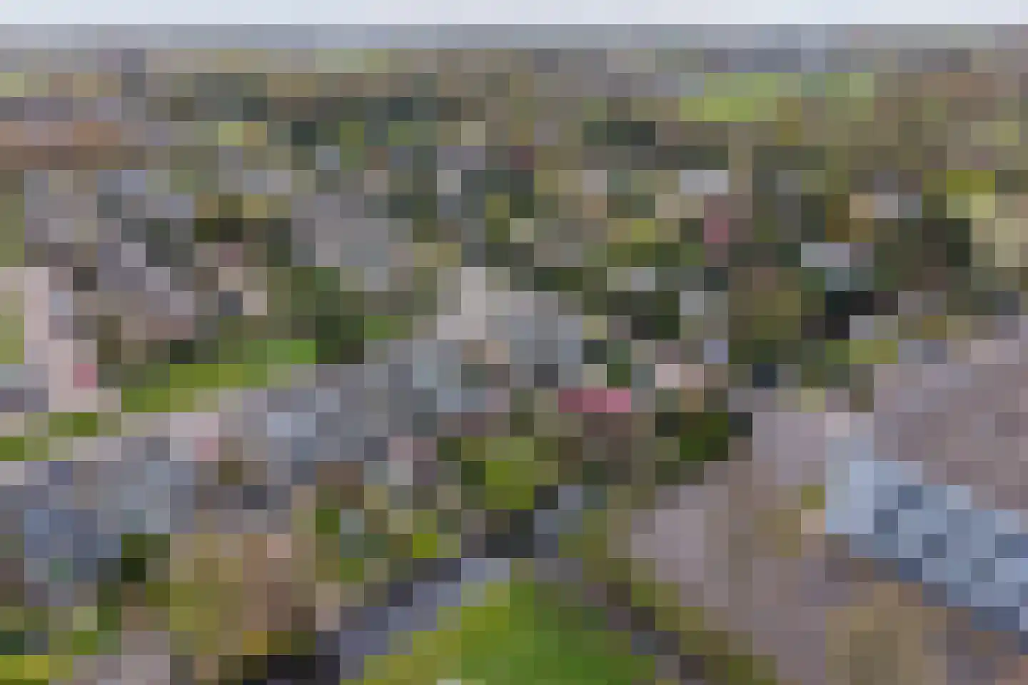 Generaal Spoorlaan 38 Voorschoten thumbnail 42
