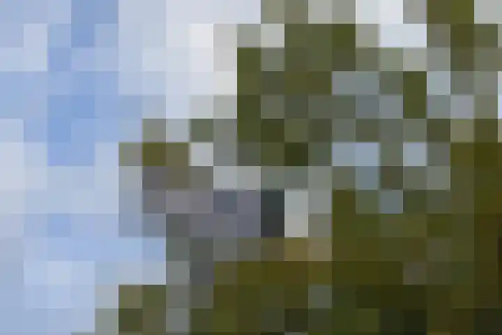 Generaal Spoorlaan 435 Rijswijk thumbnail 33