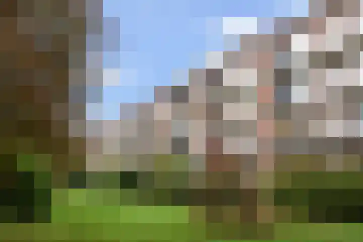 Generaal Spoorlaan 435 Rijswijk thumbnail 36