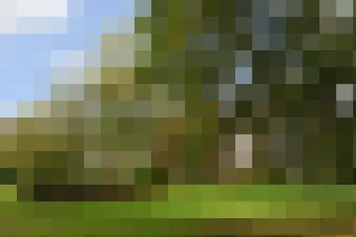 Generaal Spoorlaan 435 Rijswijk thumbnail 37