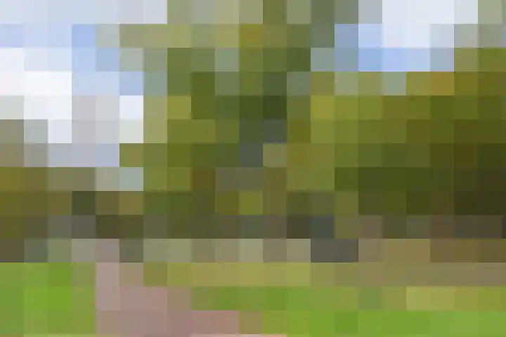 Generaal Spoorlaan 435 Rijswijk thumbnail 38