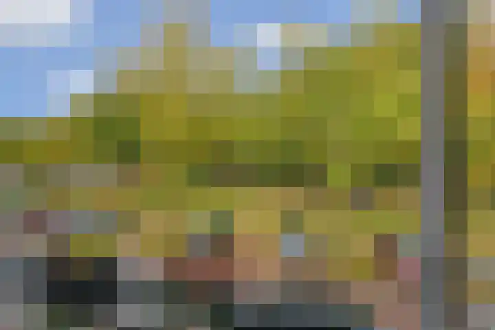 Generaal Spoorlaan 435 Rijswijk thumbnail 6