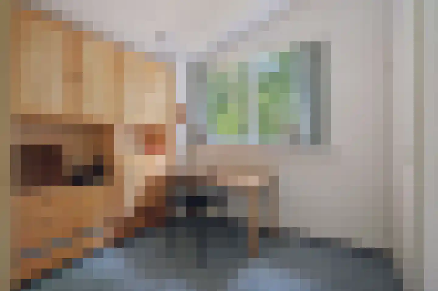 Generaal Spoorlaan 51 Ede thumbnail 39